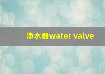 净水器water valve